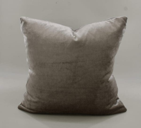Paloma - Image 4
